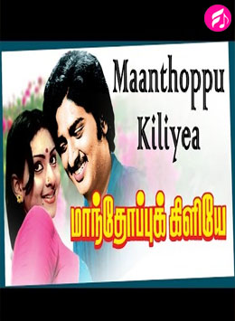 Maanthoppu Kiliye